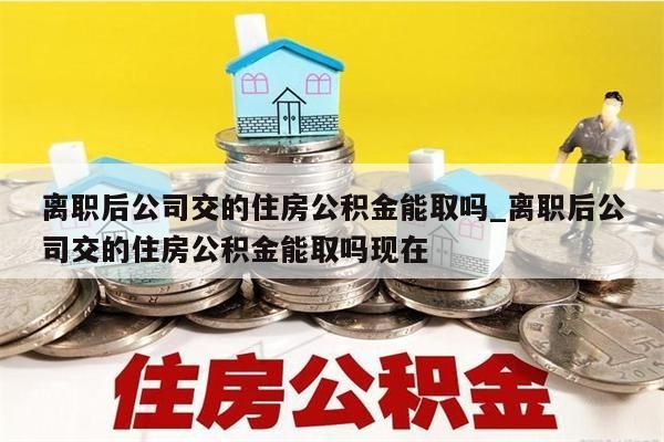 离职后公司交的住房公积金能取吗_离职后公司交的住房公积金能取吗现在